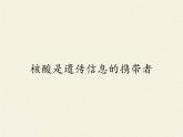 高中生物必修一《第5节 核酸是遗传信息的携带者》ppt课件2-统编人教版
