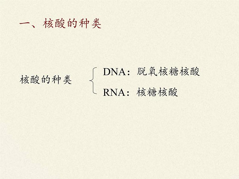 高中生物必修一《第5节 核酸是遗传信息的携带者》ppt课件2-统编人教版04