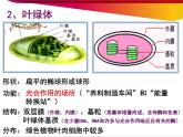 高中生物必修一第3章《第2节 细胞器之间的分工合作》ppt课件2-统编人教版