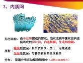 高中生物必修一第3章《第2节 细胞器之间的分工合作》ppt课件2-统编人教版