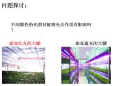高中生物必修一《一 捕获光能的色素和结构》ppt课件2-统编人教版