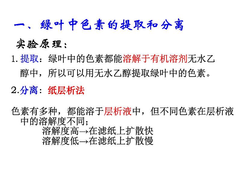 高中生物必修一《一 捕获光能的色素和结构》ppt课件2-统编人教版第4页