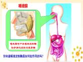 高中生物必修一《一 酶的作用和本质》ppt课件1-统编人教版