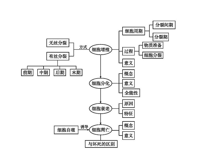 生物高中必修一第6章《本章综合与测试》ppt课件4-统编人教版第2页