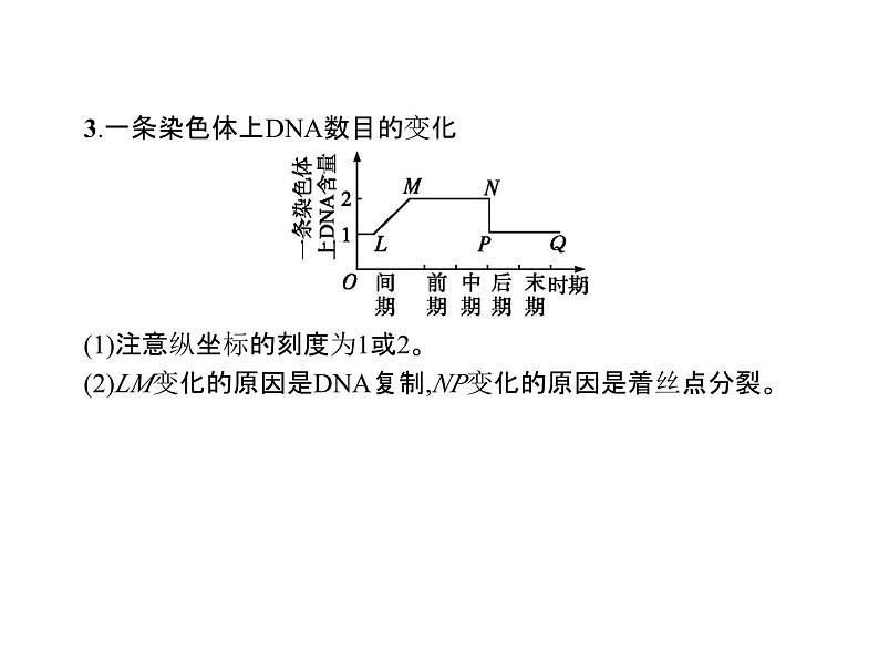 生物高中必修一第6章《本章综合与测试》ppt课件4-统编人教版第4页