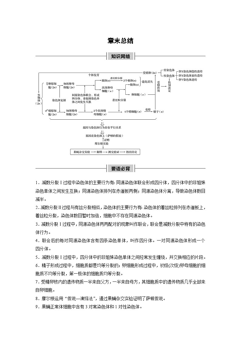 高中必修二生物第2章《本章章末总结》教学设计-统编人教版01