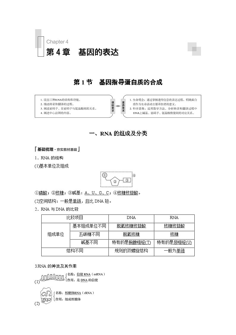 高中生物必修二《第1节 基因指导蛋白质的合成》教学设计-统编人教版01