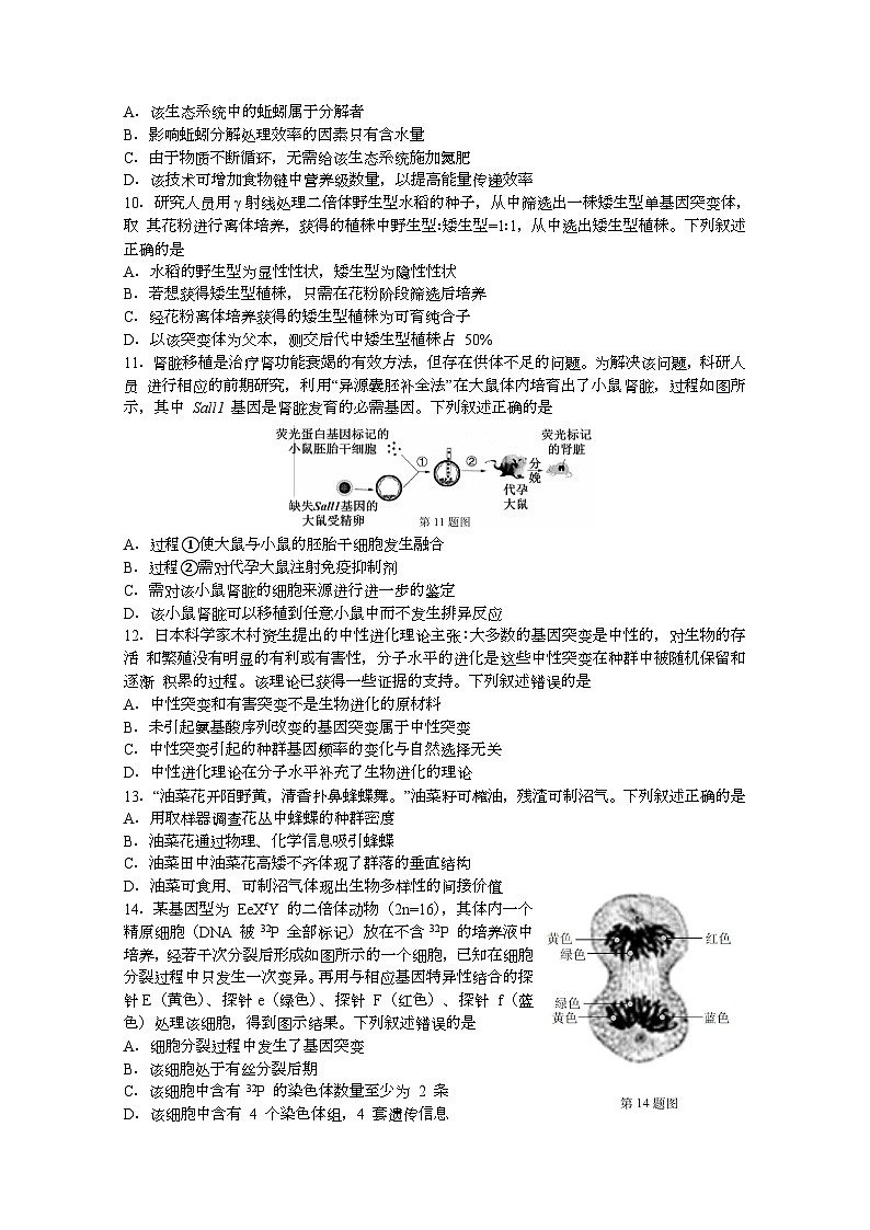 浙江省四校联盟2023 —2024学年高三上学期联考生物试题03