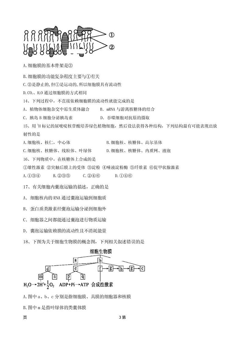 2019届新疆维阿克苏市高级中学高三上学期第二次月考生物试卷（PDF版）03