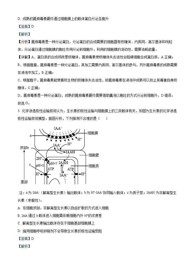 婀栧崡甯堣寖澶у闄勫睘涓2023-2024瀛﹀勾楂樹笁涓婂鏈熸湀鑰冨嵎锛堝洓锛夌敓鐗╄瘯棰橈紙瑙ｆ瀽鐗堬級第2页
