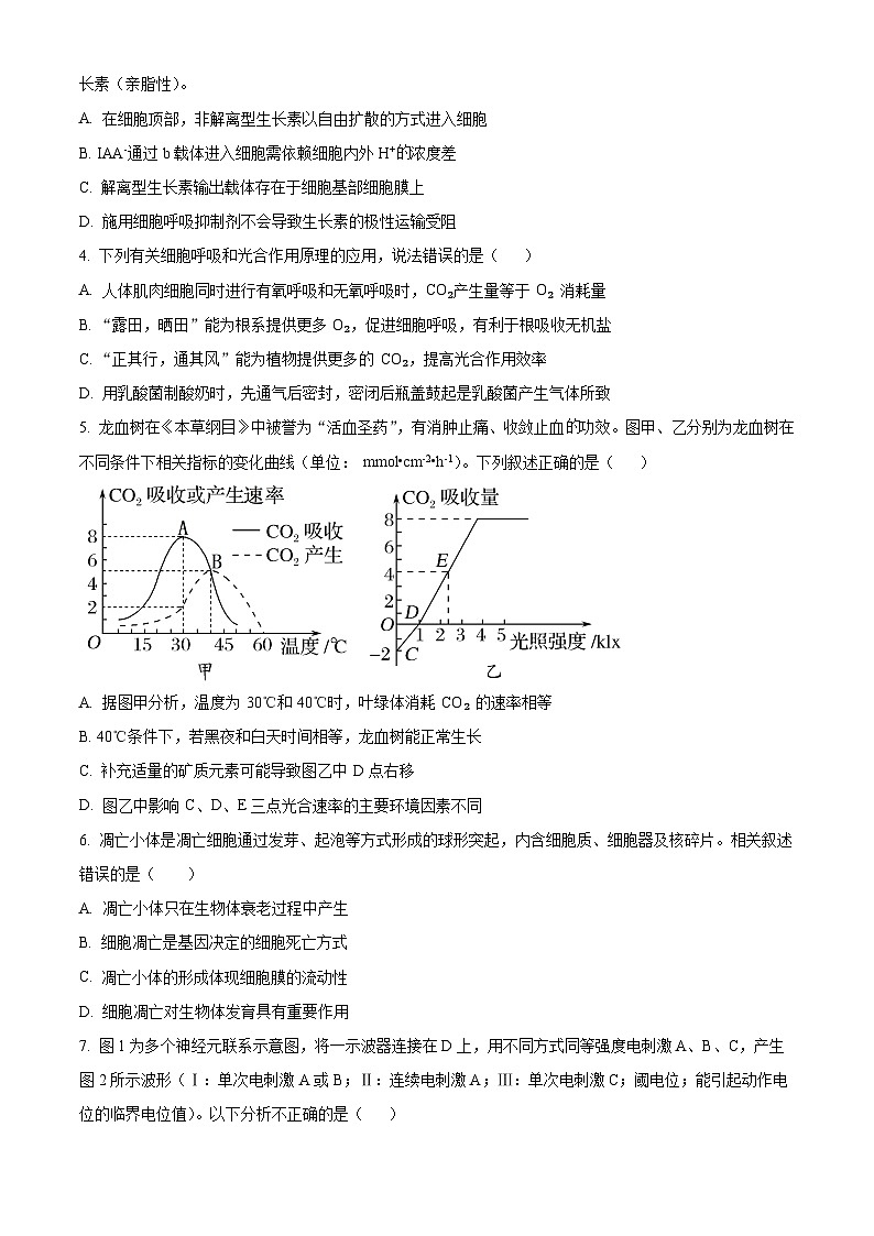 婀栧崡甯堣寖澶у闄勫睘涓2023-2024瀛﹀勾楂樹笁涓婂鏈熸湀鑰冨嵎锛堝洓锛夌敓鐗╄瘯棰橈紙鍘熷嵎鐗堬級第2页