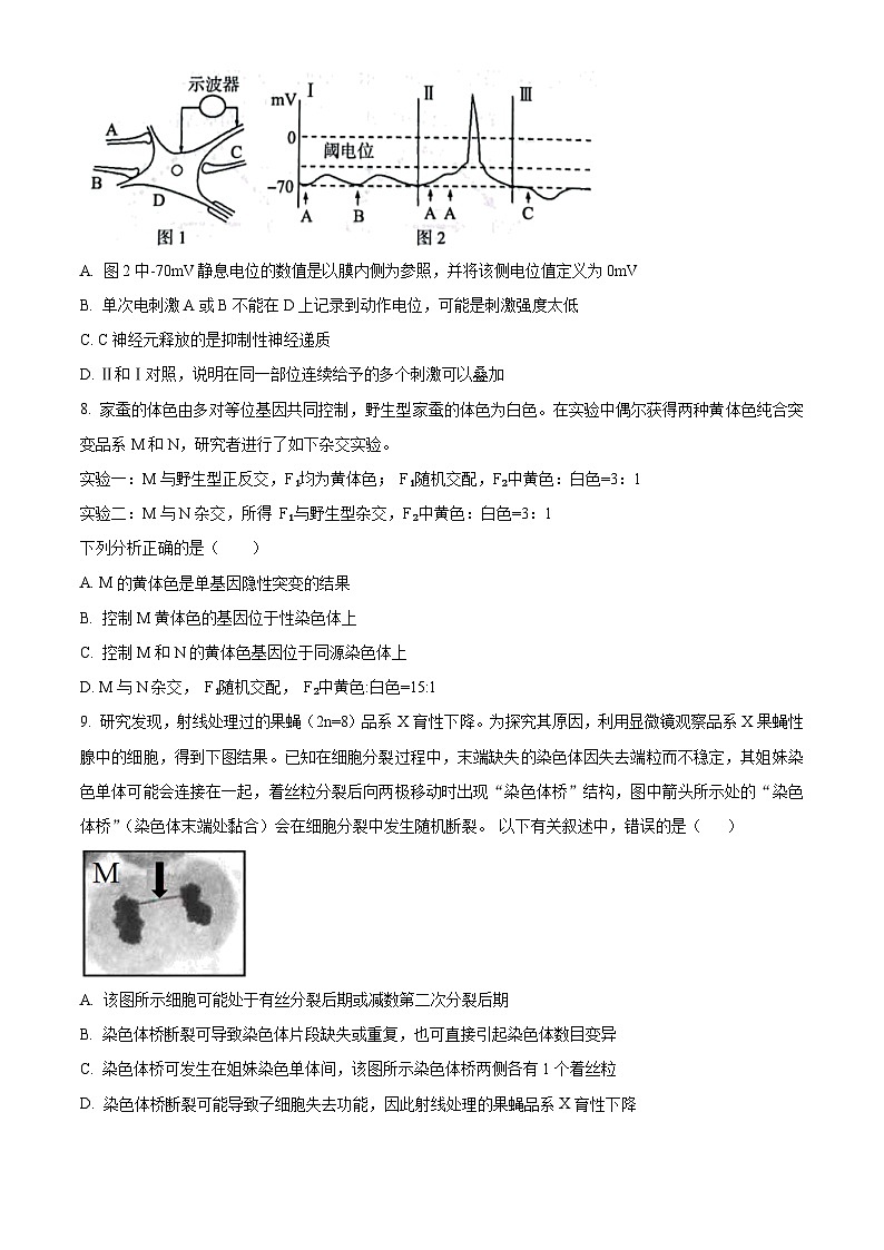 婀栧崡甯堣寖澶у闄勫睘涓2023-2024瀛﹀勾楂樹笁涓婂鏈熸湀鑰冨嵎锛堝洓锛夌敓鐗╄瘯棰橈紙鍘熷嵎鐗堬級第3页