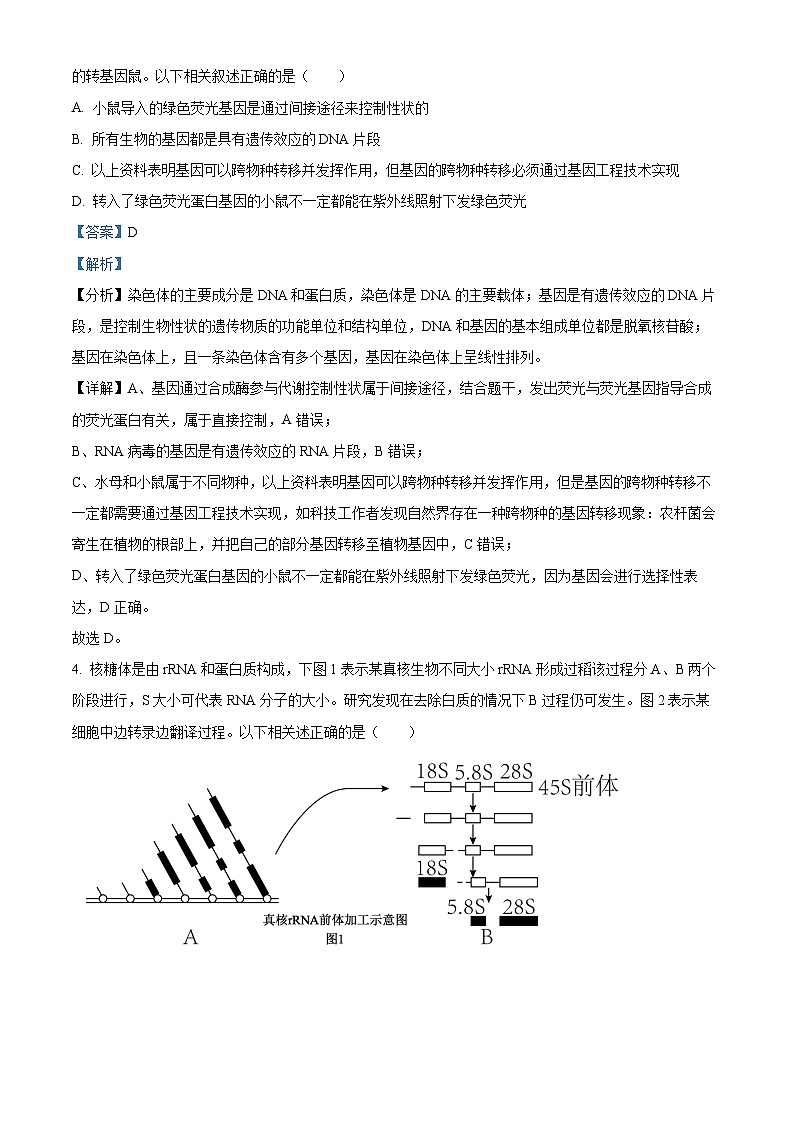 2024湖北省腾云联盟高三上学期12月联考生物试卷含解析03