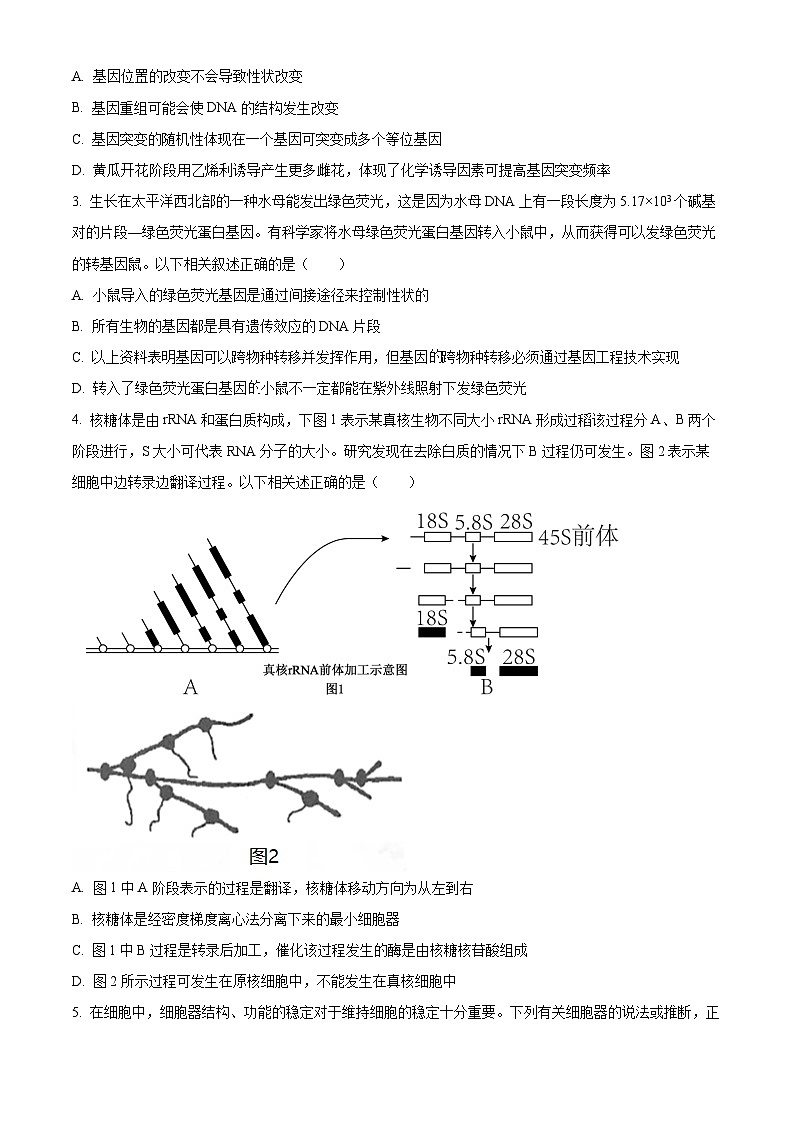 2024湖北省腾云联盟高三上学期12月联考生物试卷含解析02