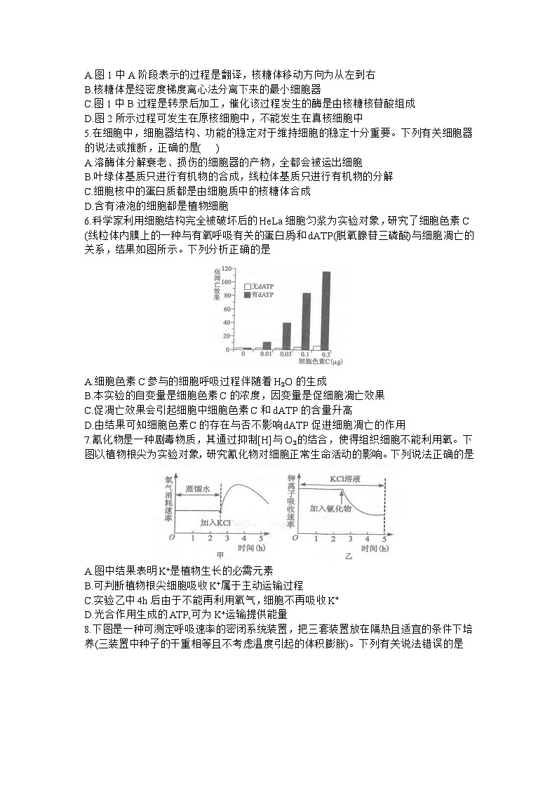 2024湖北省腾云联盟高三上学期12月联考试题生物含答案02