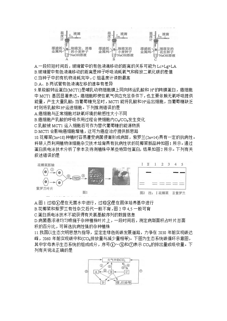 2024湖北省腾云联盟高三上学期12月联考试题生物含答案03