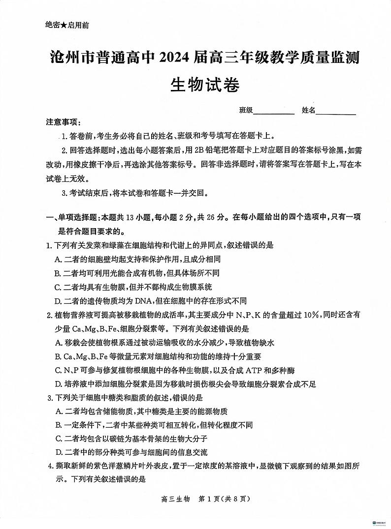 2024沧州普通高中高三上学期12月月考试题生物PDF版含解析第1页
