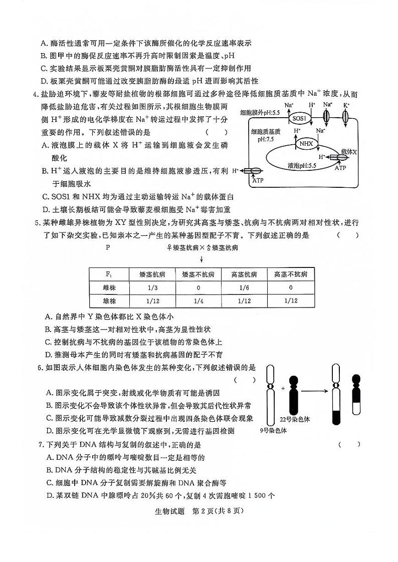 2024河南省青桐鸣大联考高三上学期12月月考试题生物PDF版含答案02