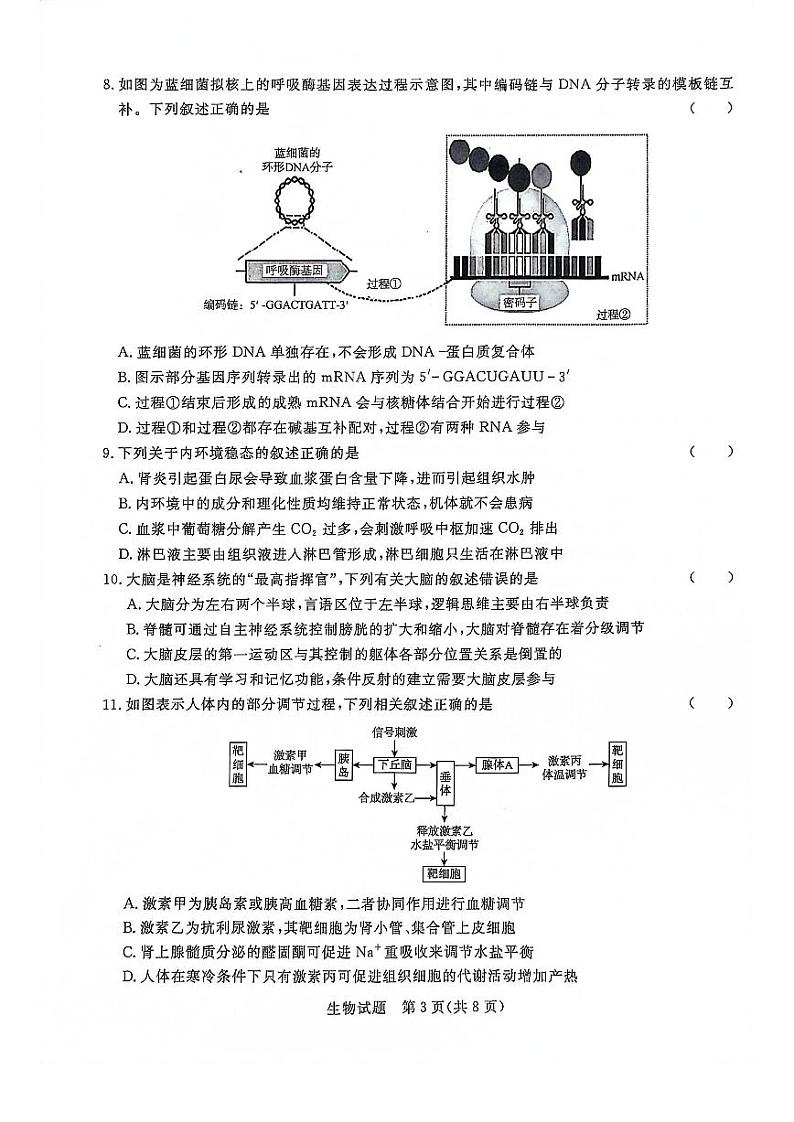 2024河南省青桐鸣大联考高三上学期12月月考试题生物PDF版含答案03