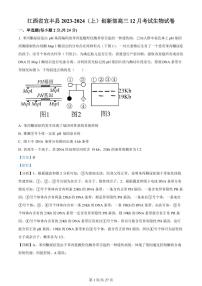 2024宜春宜丰中学高三上学期12月月考试题生物PDF版含答案