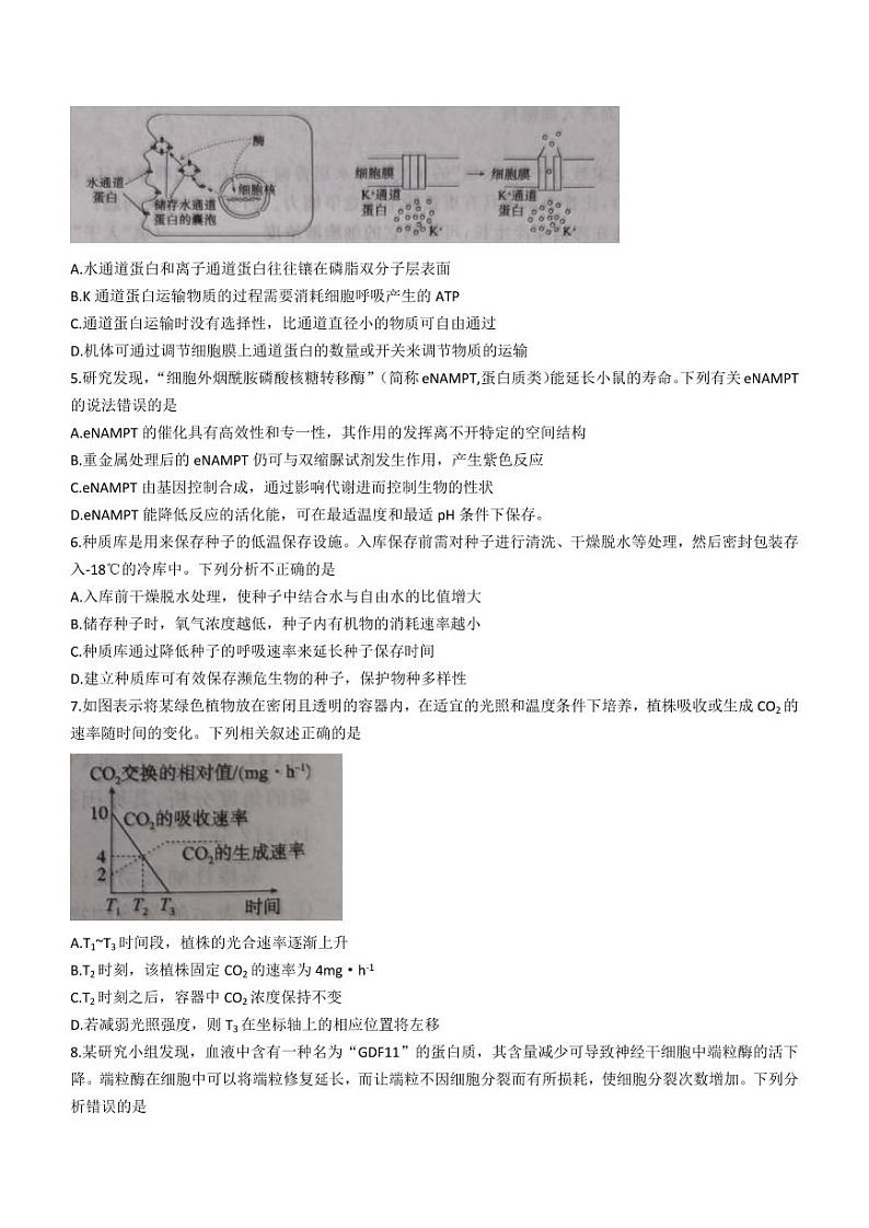 2024安徽省“皖江名校联盟”高三上学期12月月考试题生物PDF版含答案02
