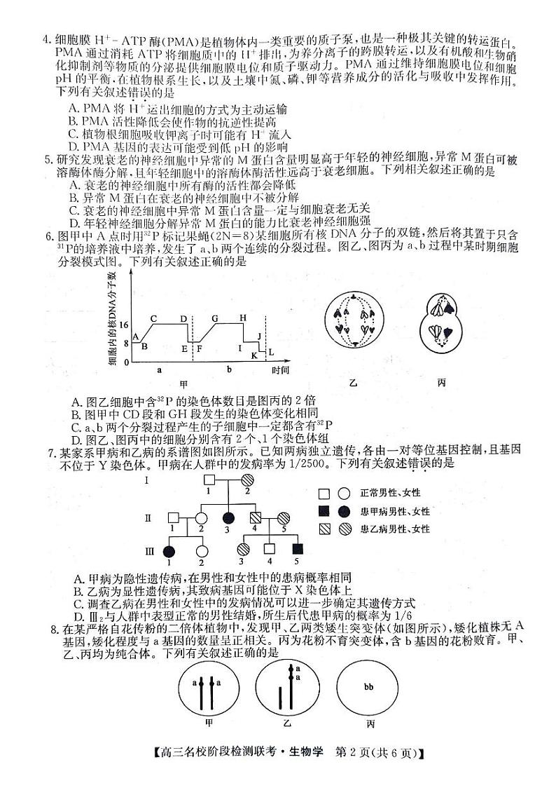 2024安徽省“耀正优”高三上学期12月名校阶段检测联考试题生物PDF版含答案02