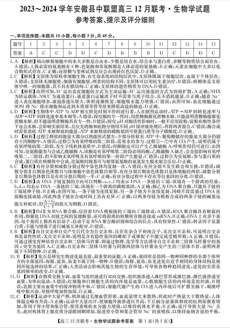 2024安徽省县中联盟高三上学期12月联考试题生物PDF版含答案01