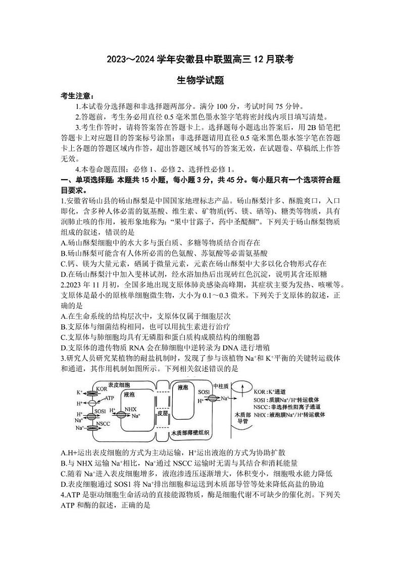 2024安徽省县中联盟高三上学期12月联考试题生物PDF版含答案01