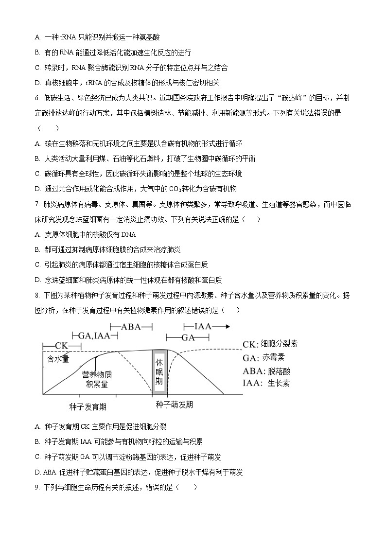 2024北镇二中、第三高级中学高三上学期第四次月考试题生物含解析第2页
