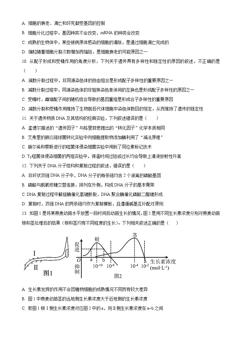 2024北镇二中、第三高级中学高三上学期第四次月考试题生物含解析第3页