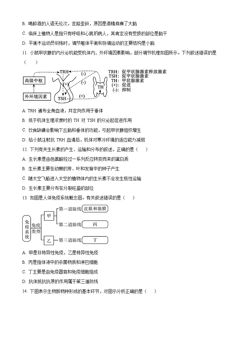 四川省什邡中学2023-2024学年高二上学期11月期中生物试题（Word版附解析）第3页