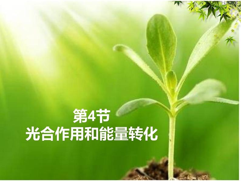 高中生物必修一《光合作用和能量转化》ppt课件-统编人教版第1页