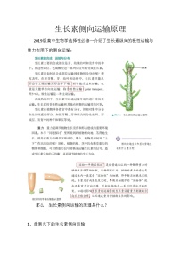 备课素材（知识点）：生长素侧向运输原理  高中生物学选择性必修一