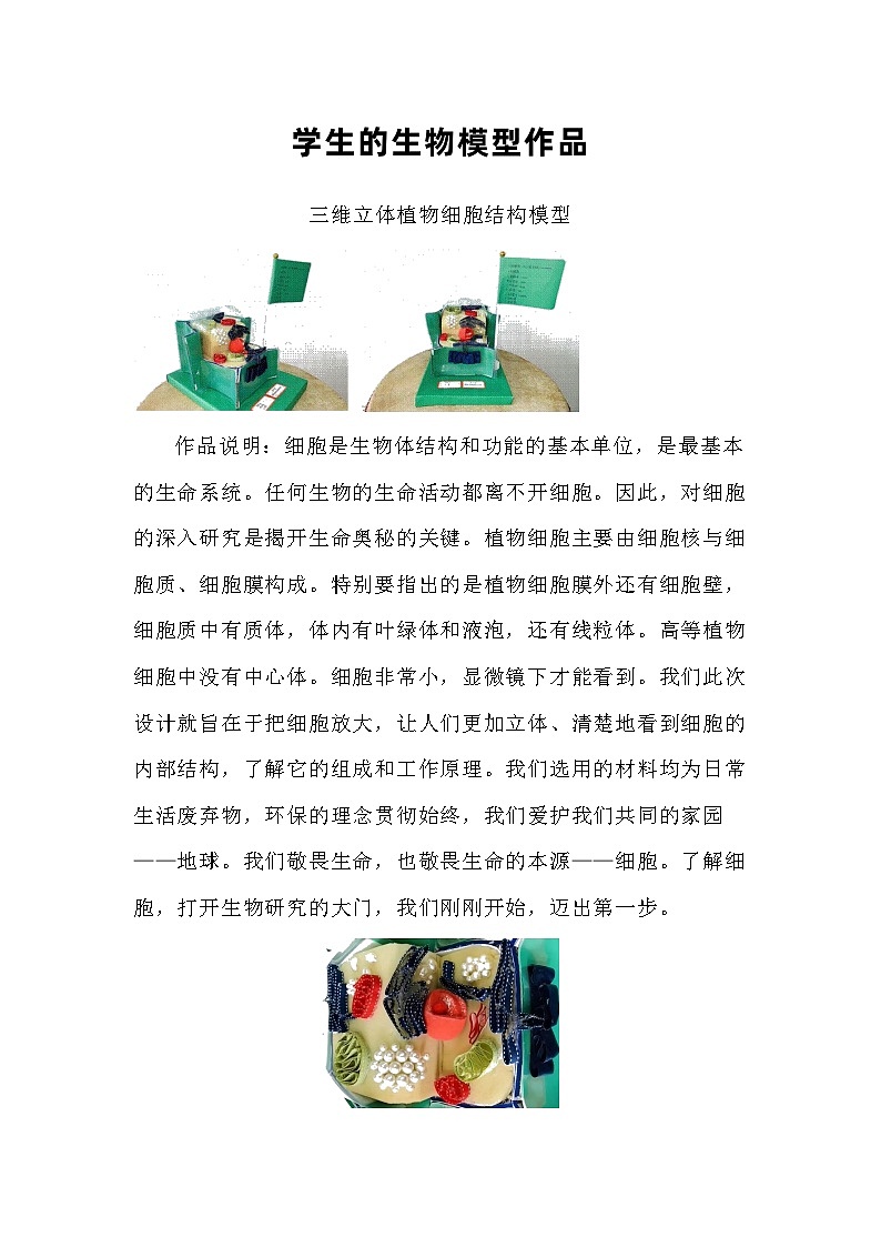 备课素材（知识点）：学生的生物模型作品  高中生物学必修一01