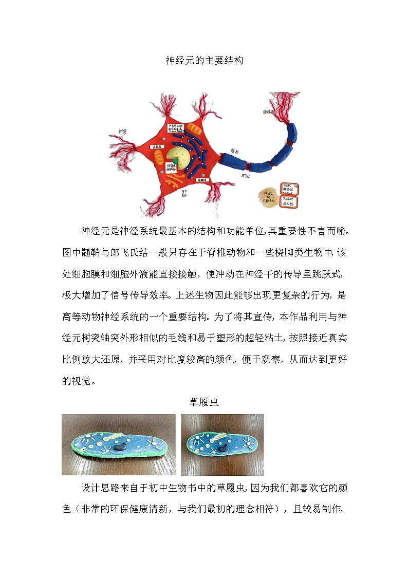 备课素材（知识点）：学生的生物模型作品  高中生物学必修一03