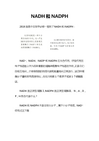 备课素材（知识点）：NADH和NADPH  生物人教版必修1