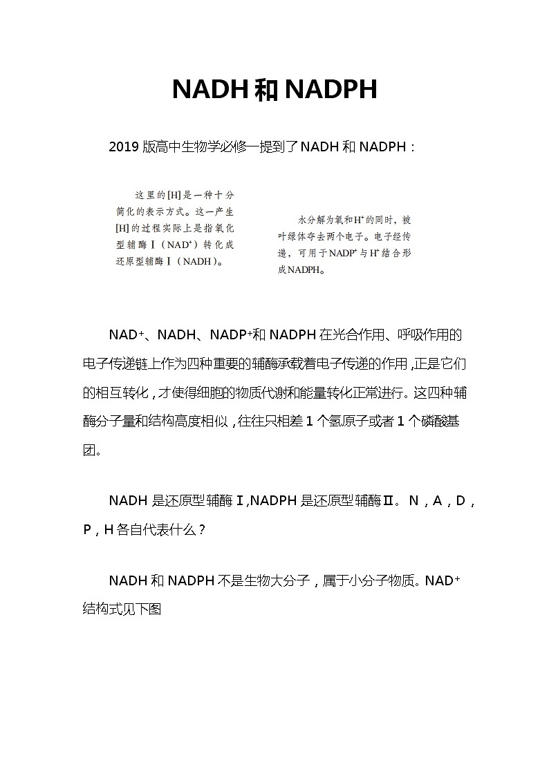 备课素材（知识点）：NADH和NADPH  生物人教版必修1第1页