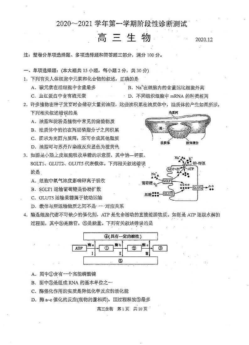 2021届江苏省苏州市相城区高三第一学期阶段性诊断测试（12月）生物试卷 PDF版第1页