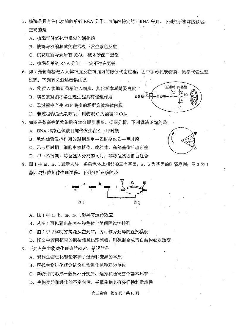 2021届江苏省苏州市相城区高三第一学期阶段性诊断测试（12月）生物试卷 PDF版第2页