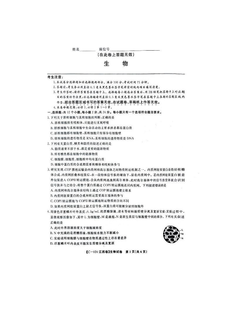 江西省2023-2024学年高一上学期11月期中考试 生物 PDF版含答案第1页