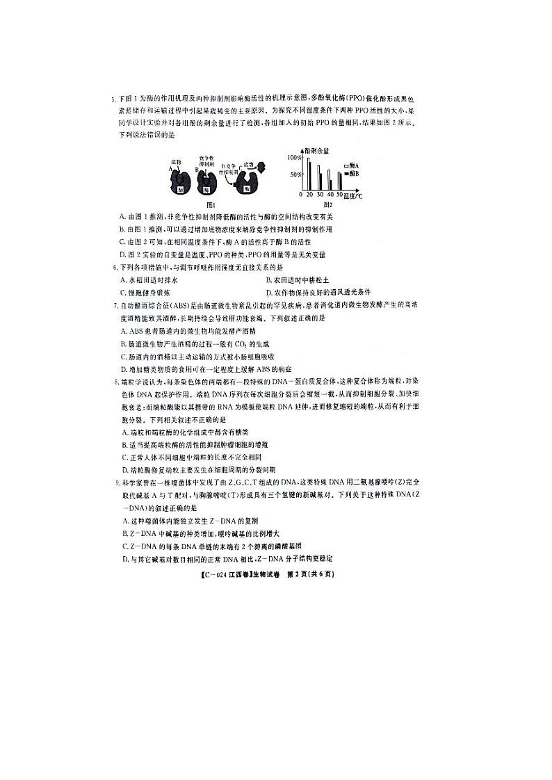 江西省2023-2024学年高一上学期11月期中考试 生物 PDF版含答案第2页