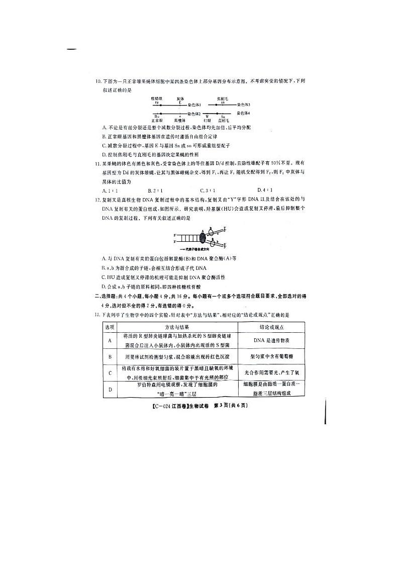 江西省2023-2024学年高一上学期11月期中考试 生物 PDF版含答案第3页