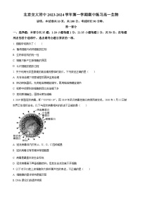 北京交通大学附属中学2023-2024学年高一上学期期中生物试题（Word版附解析）