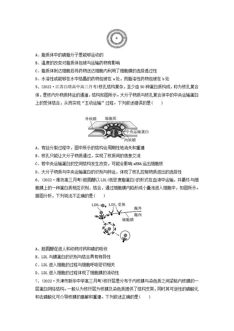 专题04 细胞膜和细胞核（精练）（原卷版）第2页