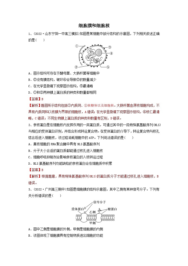 专题04 细胞膜和细胞核（精练）（解析版）第1页