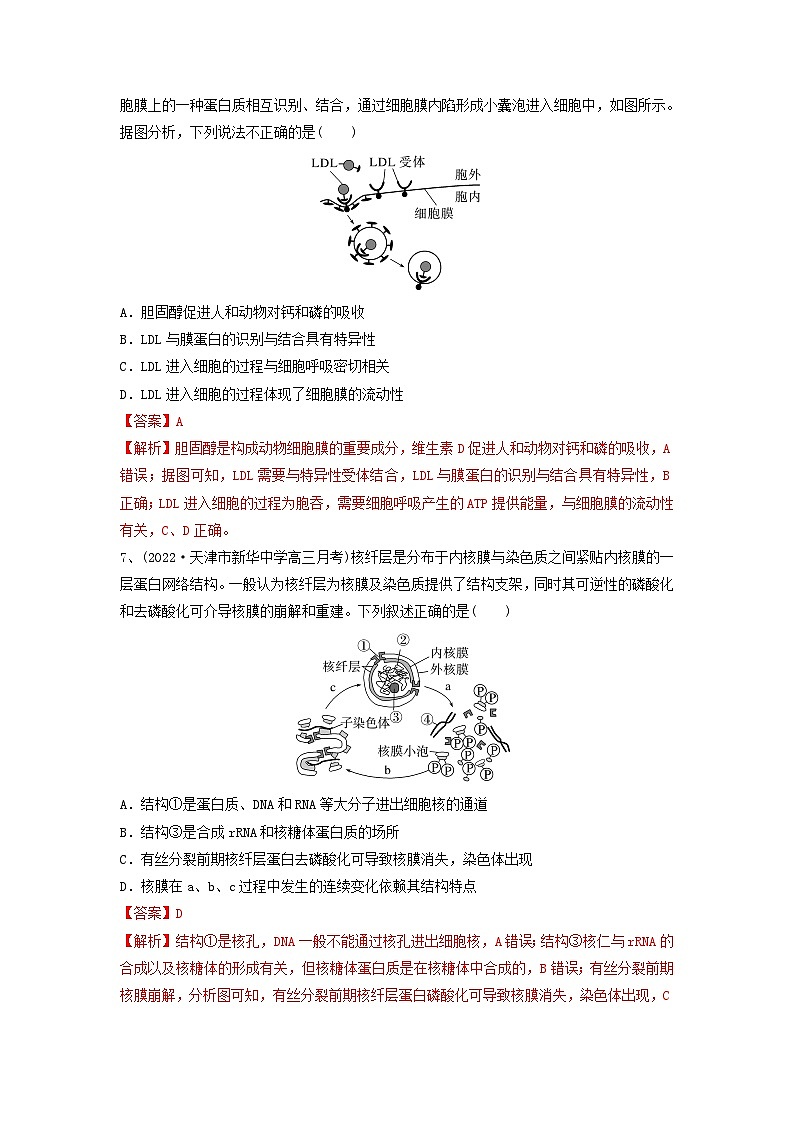 专题04 细胞膜和细胞核（精练）（解析版）第3页