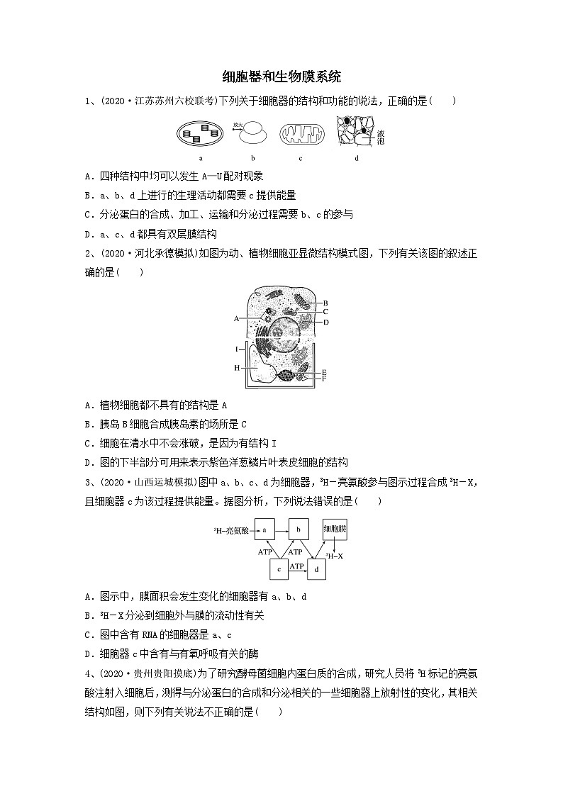专题05 细胞器和生物膜系统（精练）（原卷版）第1页