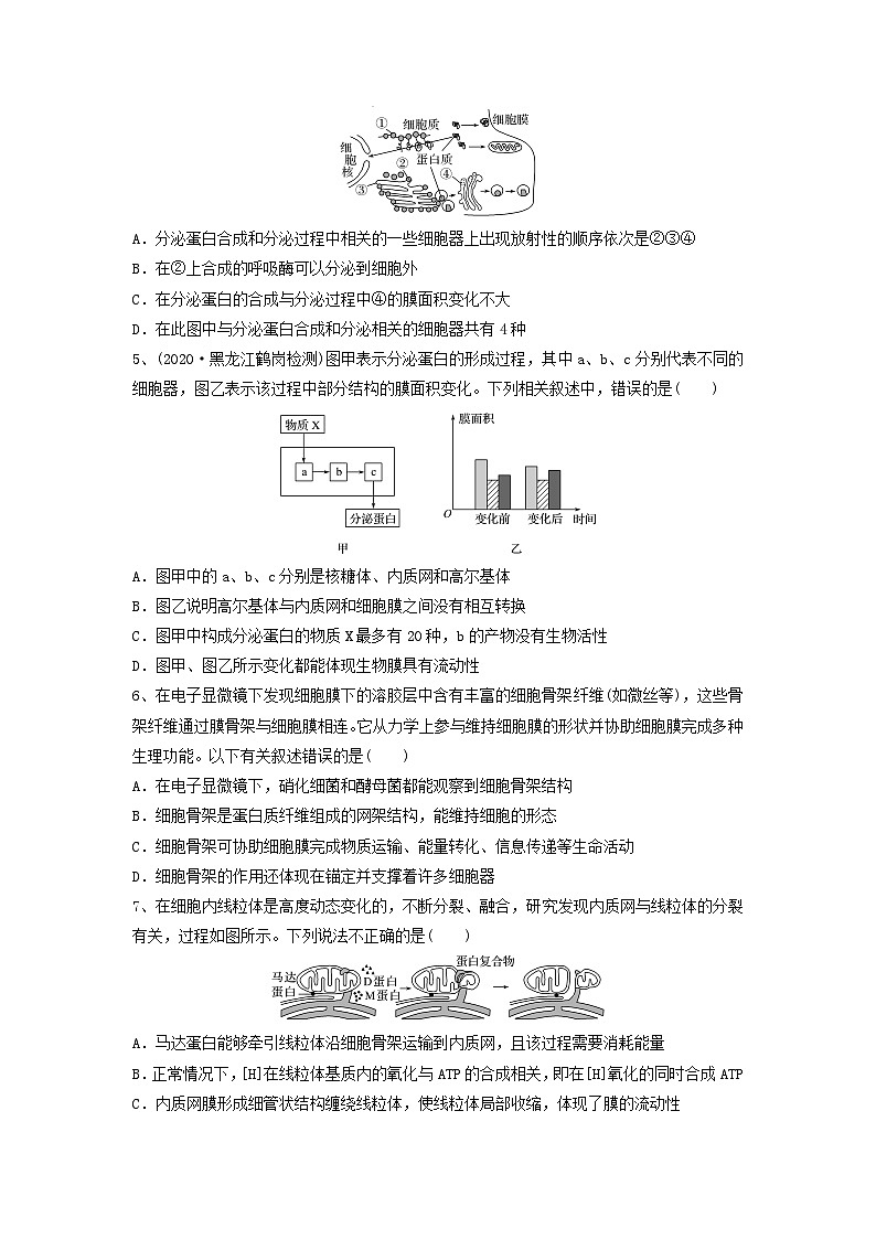 专题05 细胞器和生物膜系统（精练）（原卷版）第2页