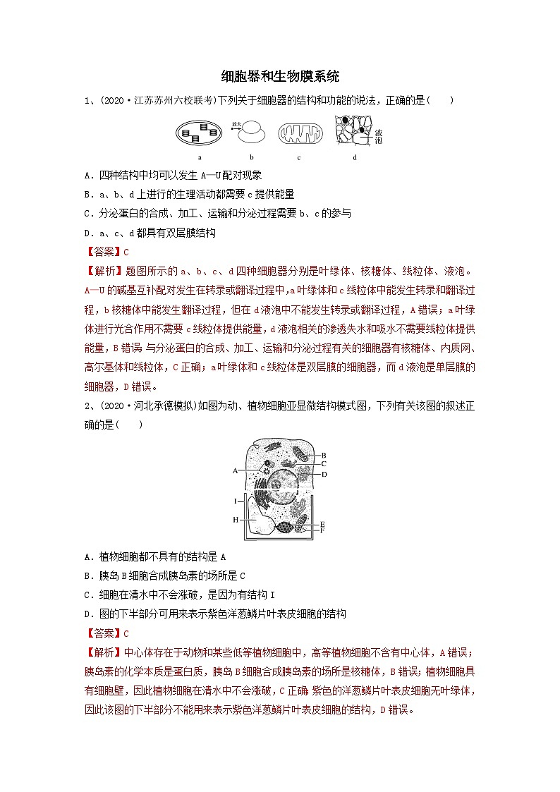 专题05 细胞器和生物膜系统（精练）（解析版）第1页