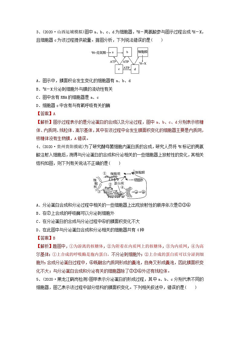 专题05 细胞器和生物膜系统（精练）（解析版）第2页